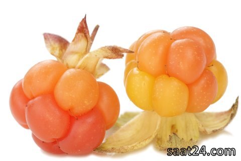 خواص ضد سرطانی کلاودبری