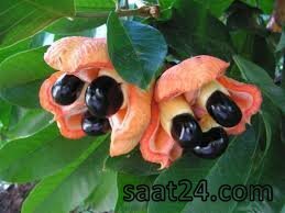 خواص آکی