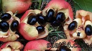 خواص آکی برای قلب