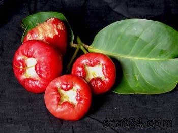 خواص سیب گلی برای کاهش سمیت