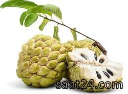 خواص سیب شکری برای دیابت