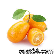 خواص کامکوات برای لاغری و دیابت