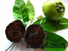 خواص ساپوت سیاه برای فشار خون و کلیه