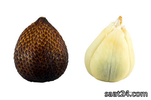 خواص سالاک برای معده