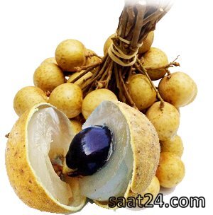 مضرات لونگان