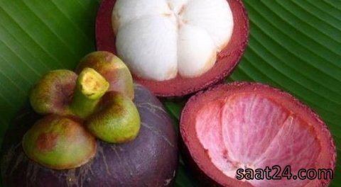 خواص منگوستین برای لاغری