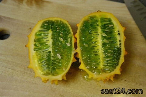 خواص خربزه شاخدار