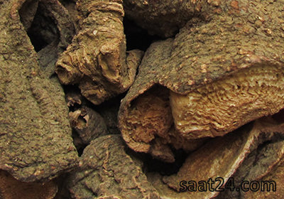مضرات گیاه بهمن سرخ و سفید