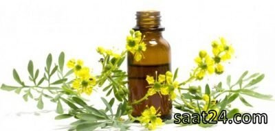 مضرات سداب