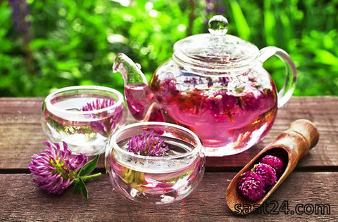 خواص شبدر قرمز و آبی