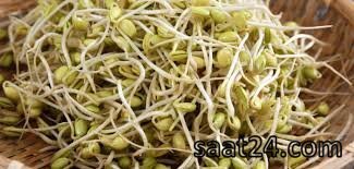 طرز تهیه جوانه شبدر