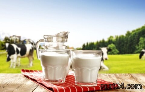 خواص شیر برای بزرگسالان