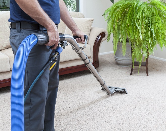 Reasons why Carpet Steam Cleaning is the Best for Your Carpet