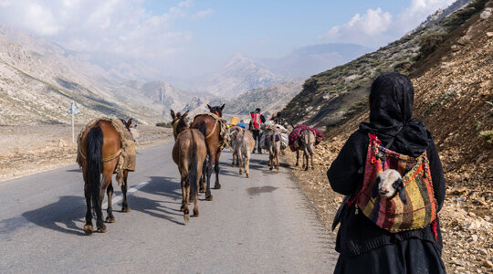 ماجرای کوچ خارجیها در ایران