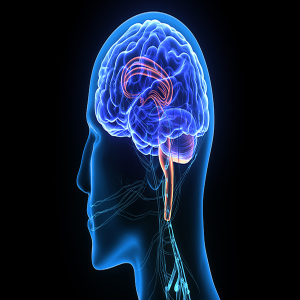  تفاوت نورولوژیست یا متخصص مغز و اعصاب و جراح مغز و اعصاب چیست؟