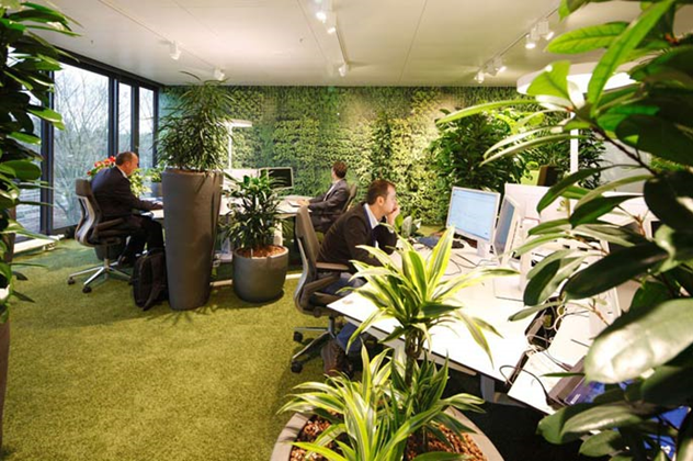 12تاثیرگل و گیاه آپارتمانی که در محیط کار معجزه میکنند