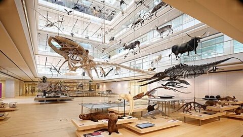 در موزه‌های علمی برتر جهان چه می‌گذرد؟ 