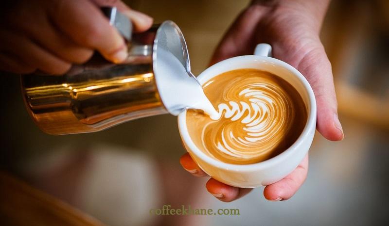 همه چیز درباره گیاه قهوه