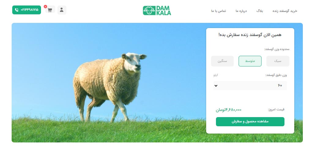 همه چیز درباره دلایل خرید گوسفند از دامکالا