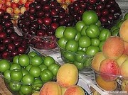 آیت الله نوری همدانی  :مردم برای خرید یک کیلو میوه در سختی هستند