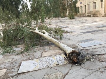 «قبرستانِ نو واجد شرایط ثبت ملی نیست»!