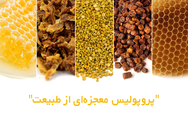 تاثیر عصاره پروپولیس در پیشگیری و درمان زگیل تناسلی