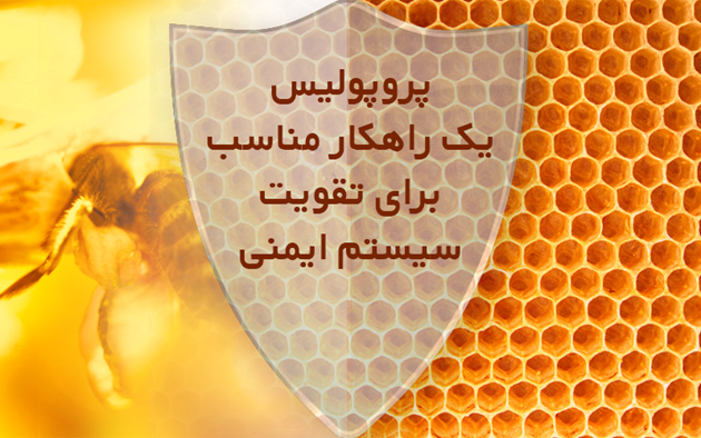 تاثیر عصاره پروپولیس در پیشگیری و درمان زگیل تناسلی