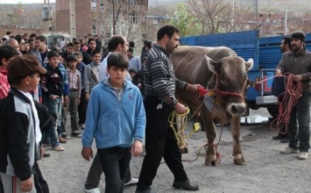 جشن سیوششمین روز بهار