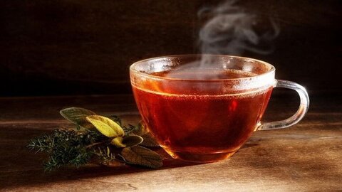 به بهانه‌ی روز جهانی چای؛چای و آنچه خوب است در مورد آن بدانید 