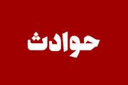 سرقت وصیت نامه پیرمرد تاجر راز عتیقه ها را لو داد