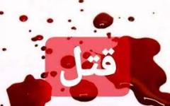 قتل پدرزن و زخمی کردن همسر و مادرزن با کارد/ عاشق خواهر زنم شده بودم!