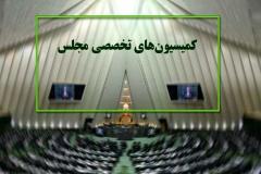 وزیر کشور درباره اجرای مصوبات عفاف و حجاب به مجلس گزارش می‌دهد