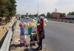 آغاز طرح ساماندهی گل‌فروشان مسیرهای منتهی به بهشت زهرا/ برخورد با بساط‌ گستری و اشغال غیرمجاز حریم بزرگراه‌های جنوبی پایتخت