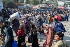 حرف دل یا حرف عقل در برخورد با افغانستانی‌ها‌
