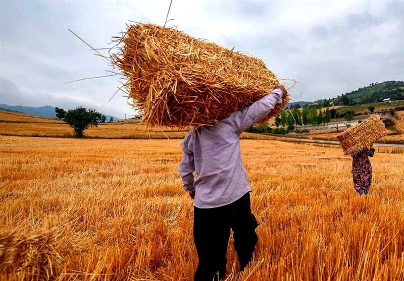 پرسش از طرح خیالی وزیر جهاد کشاورزی
