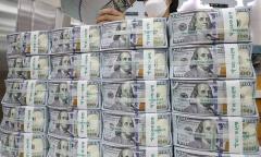 لبنیات صادر می کنیم یا دلار رانتی
