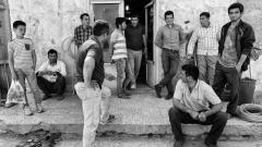 3میلیون جوان «نیت» یا همان جوان«علاف»