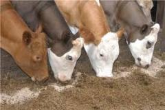 دعوا سر رانت 70 هزار میلیارد تومانی است