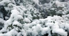 سرمای شدید در راه ایران