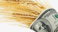 دلاری برای واردات کالاهای اساس وجود ندارد