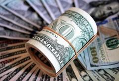 کاهش عرضه ارز برای واردت