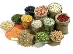 سرگردانی تامین‌کنندگان حبوبات