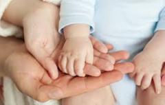 سقوط فرزندآوری ادامه دارد