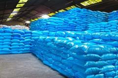 ارز برای سم وکود کشاورزی تامین نشد