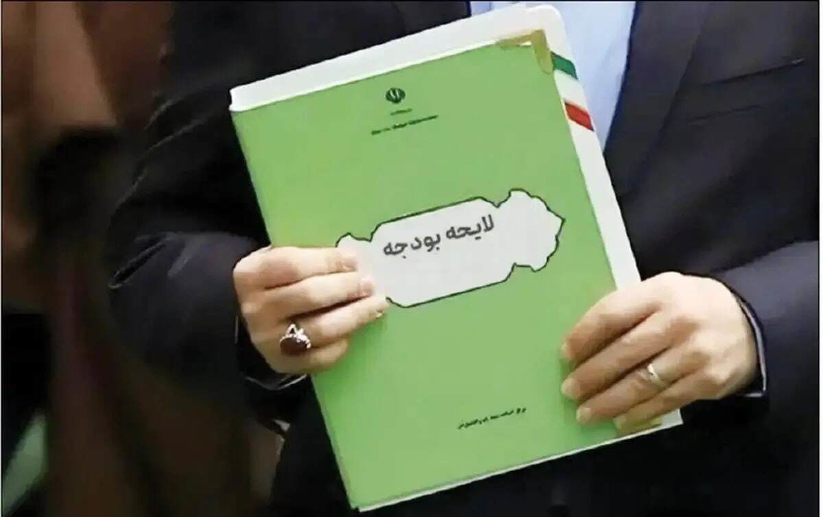 یک بخش تاریک بودجه