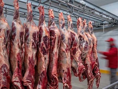 تونل انجماد؛ از محاسبه بار تا انتخاب کمپرسور