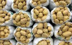 نیاز به آگاهی مثل نیاز به غذا است