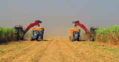 کار در گرمای جنوب با حقوق ۱۵ میلیون تومانی