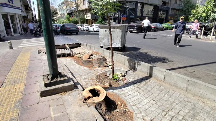 زخم تازه بر پیکر خیابان‌های تاریخی تهران