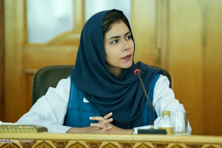 نشست خبری سخنگوی دولت - 6 مرداد 1405
نیلوفر مولایی - خبرنگار خبرآنلاین